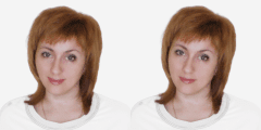 Светлана Цехмистер